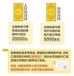 哪些情况需要申报？