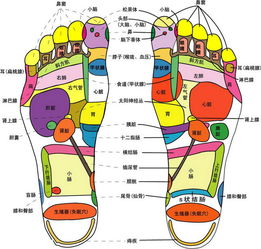 脚丫形状真的能左右命运走向吗？