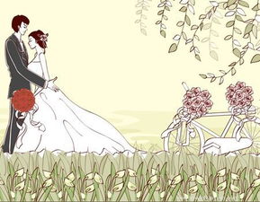 桃花煞：情劫还是机遇？