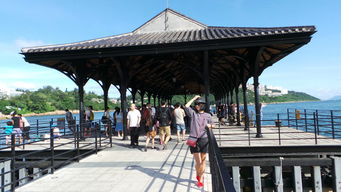 妙法寺：建筑奇观背后的真相