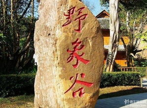 2.1 野象谷：大象的呼唤，钱包的考验