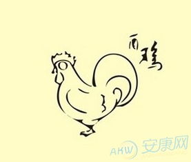 生肖鸡的五行属性中，哪种五行最适合决定改运吉凶？