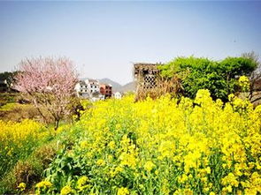3. 四天三夜穷游攻略(穷到吃土版)