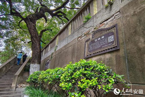 走进宿州埇桥：那里有一片被时间遗忘的角落