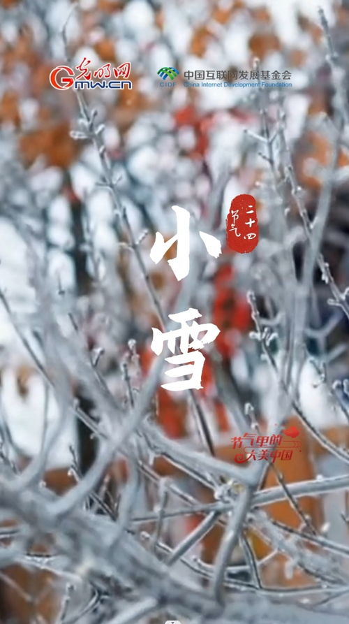 “小雪时节，寒意渐浓，习俗风情，养生指南”