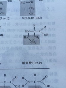2. 优化行路结构——交通不是马拉松，而是慢跑！