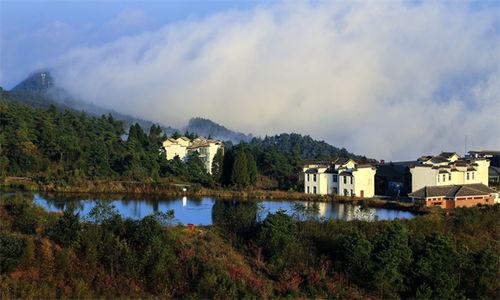 石岩湖陌上花公园：粉色天堂