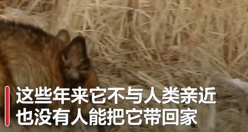 第二章：意外的私奔——一个雨夜的预兆