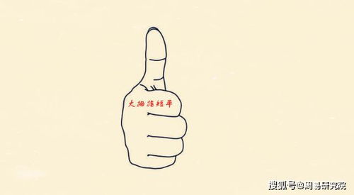 五、 较小指（季指）——口才与社交潜能的隐形发动机