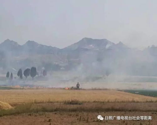 秋风起兮白云飞，九月十五祭祖归