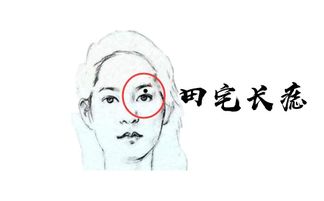 4. 天机不可泄露！应对策略大公开！