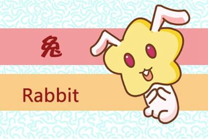 2026年属兔运势提升具体包括哪些方面？