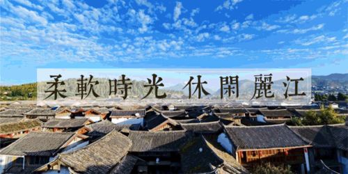 巷战生存指南