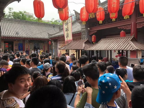 古者阝寻踪：那些年我们追过的历史