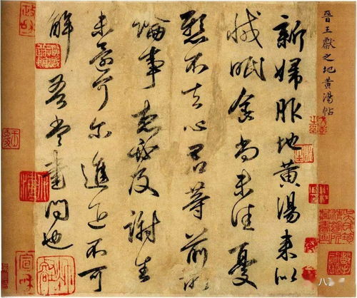 帖雅轩，雅韵轩昂，雅致人生：一种值得追求的生活态度？