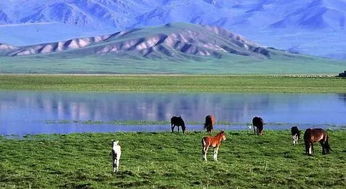 生态灾难预警！快跑！