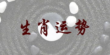 命理：让人头皮发麻的神秘力量