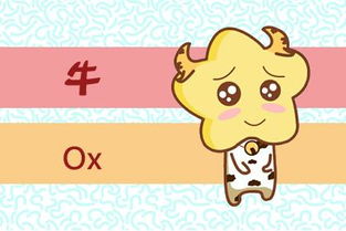 兔兔那么可爱怎么能不看