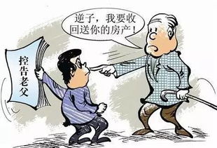 没有儿子的阳宅,无后代老人死后财产归谁