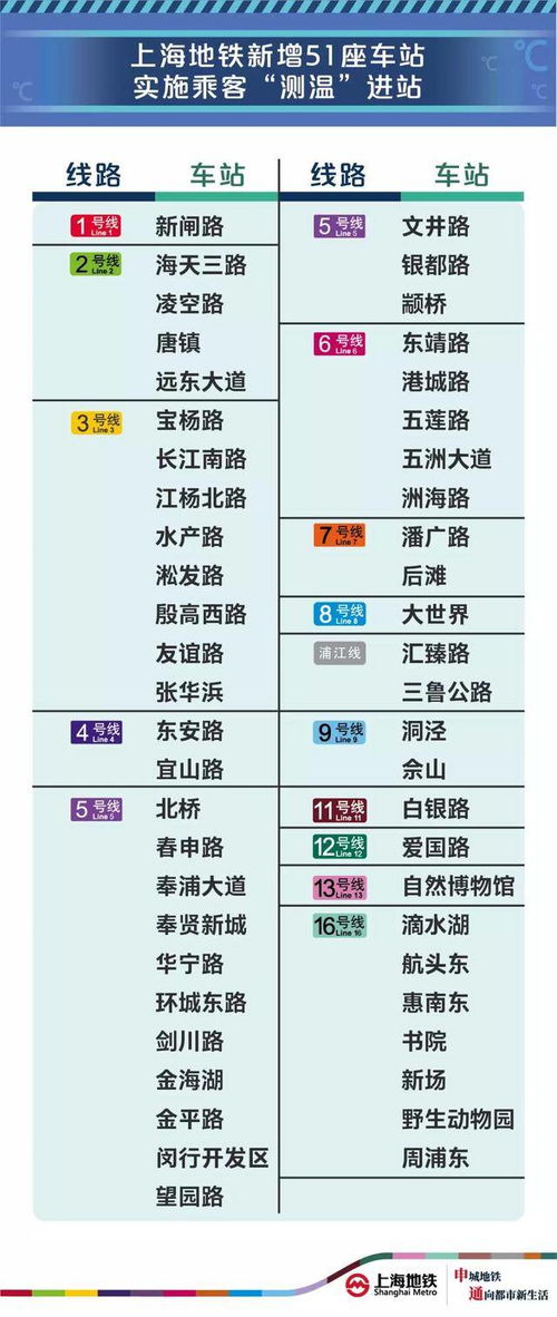乘客王姐的“乘车哲学”：为什么她坚持选依维柯而不是大巴？