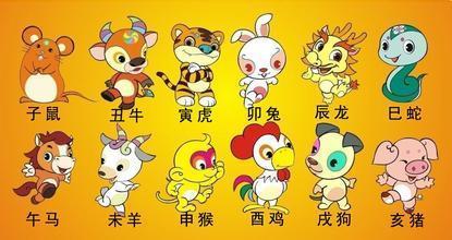 哪个生肖代表说，哪个生肖代表身强力壮？