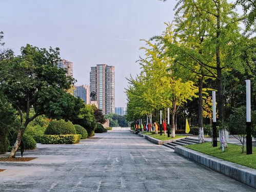当你终于抵达了那个叫Zuo“古镇”的地方