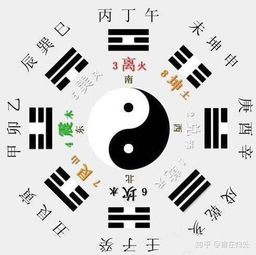 阴阳属性大起底！看完惊掉下巴