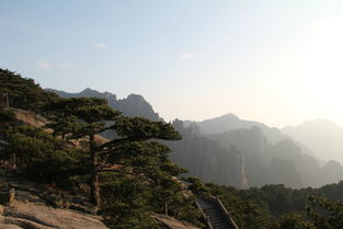 亲子游，黄山相伴
