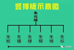 三、 兄弟姐妹排行：排位图谱里的时间坐标