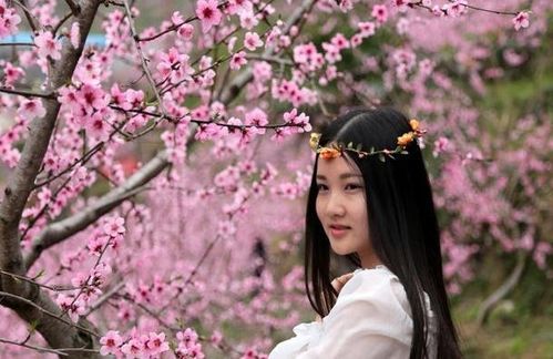 4. 桃花朵朵开，朵朵都带刺