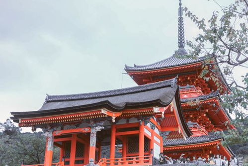 注：以上信息仅供参考， 请根据实际情况自行安排行程，并注意当地天气改变及可靠提示！