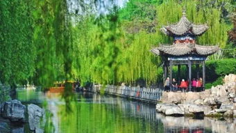 五一自驾游晋中到山东济南大明湖畔，有哪些赏花景点推荐？