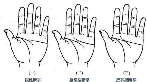 第三章：女性群体视角——她们到底经历了哪些？