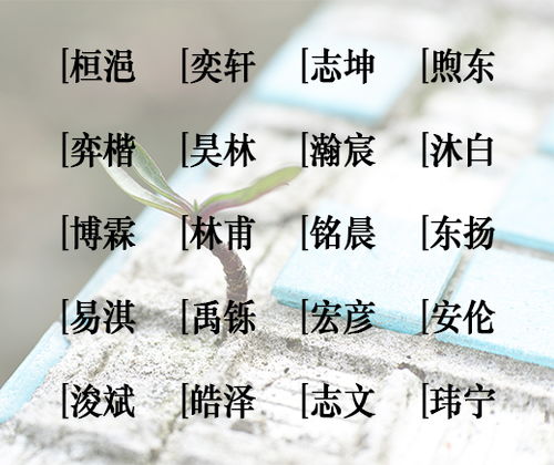 （稍纵即逝）