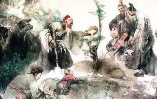 星座与清明鬼魂的磁场共振