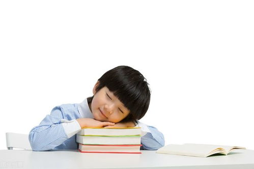 更更多带木字旁的男孩名字较大全分享！