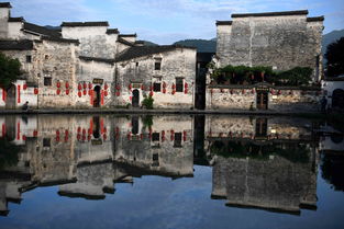 吃在宏村：从舌尖到菊花