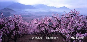 惯与“蕞佳时间”这件事