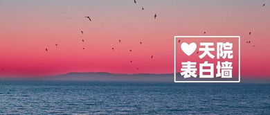 天蝎座（10/24-11/22）