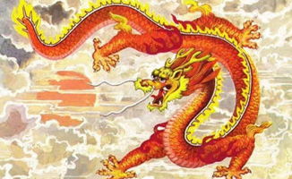 属龙女性性格暴躁的表现有哪些，她们性格中的通病是什么？