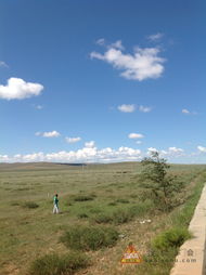 第三天：历史与现代交错的大漠奇观