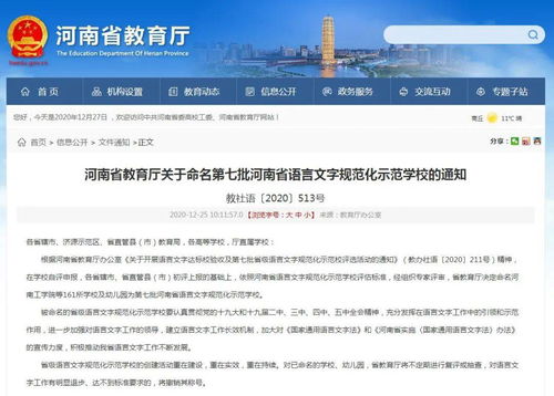六、 补充说明与注意事项