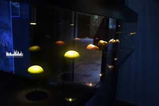 风水布局——如何在午夜防止童话成真？（请勿当真）