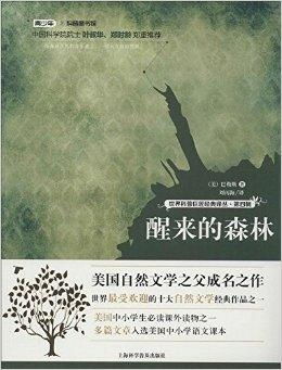 经典传奇海南风水,经典传奇风水大师