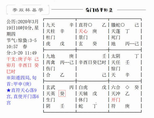 男命癸亥年出生有哪些具体的命理特征？