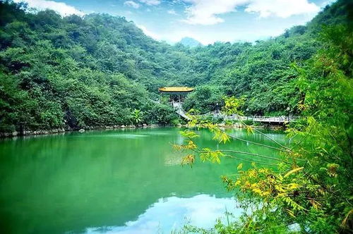 里面有没有卖冰棍的？