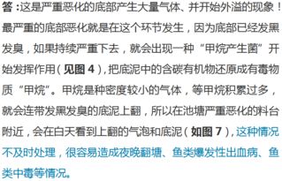 心理战与情感博弈