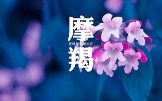 哪些星座更懂得善待自己，认真过好每一天呢？