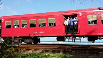 坐火车？脑子进水了吧！