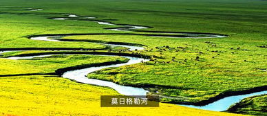 从水乡到草原：一场乱七八糟的奇幻漂流